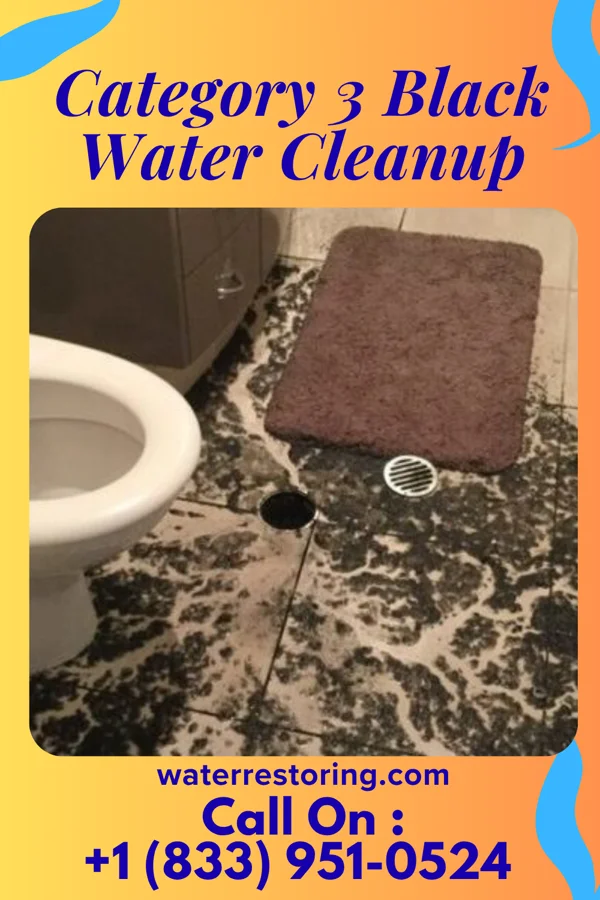 Category 3 Black Water Cleanup in Athens, WI