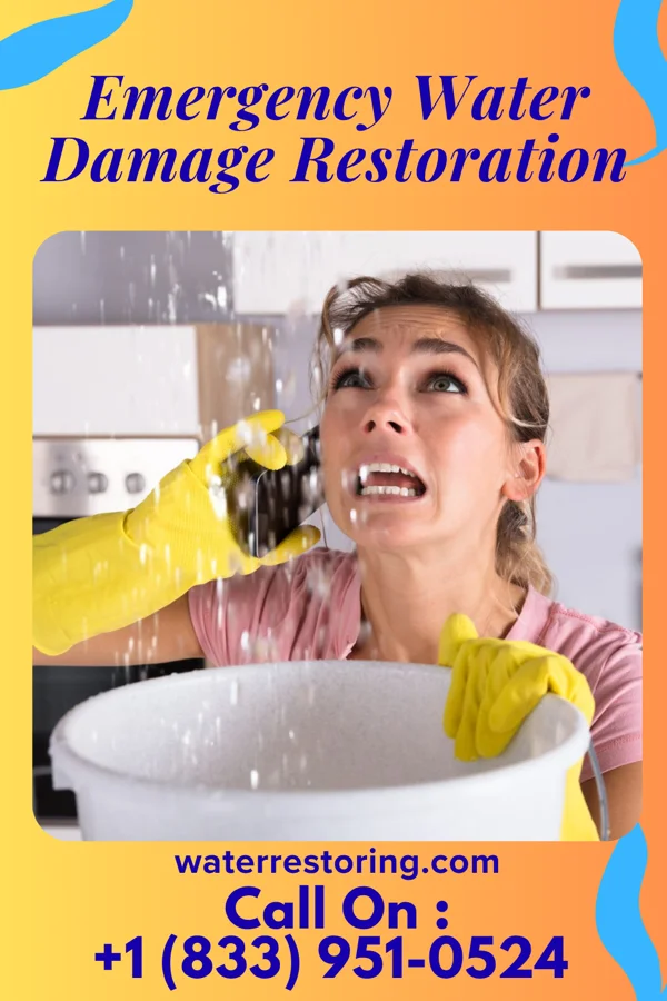 Emergency Water Damage Restoration in Athens, WI