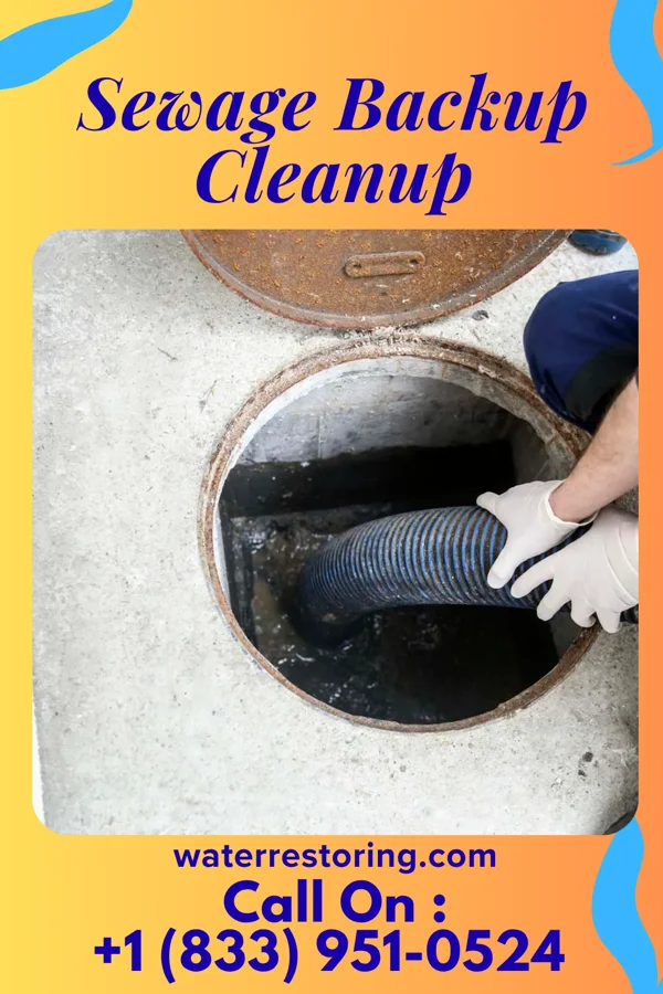 Sewage Backup Cleanup in Athens, WI