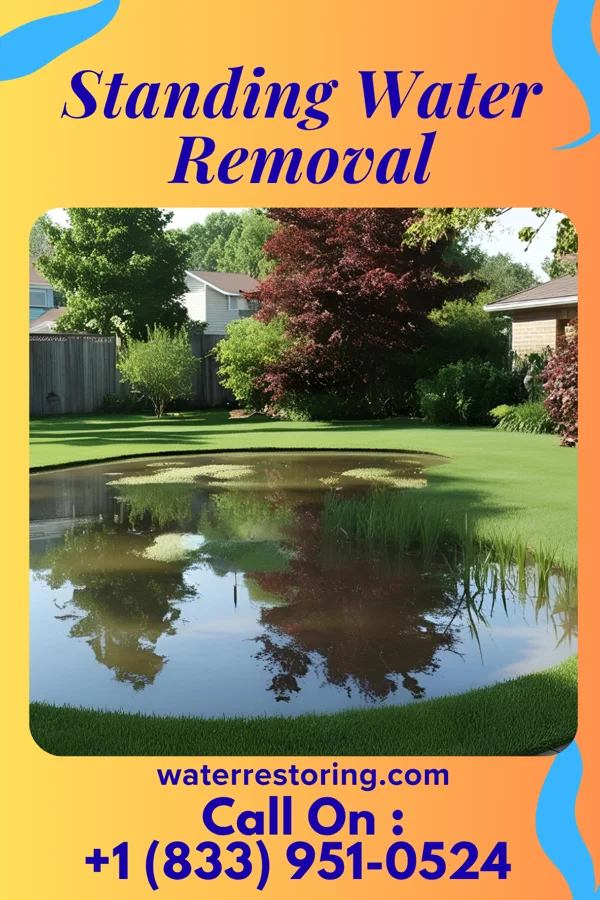 Standing Water Removal in Athens, WI